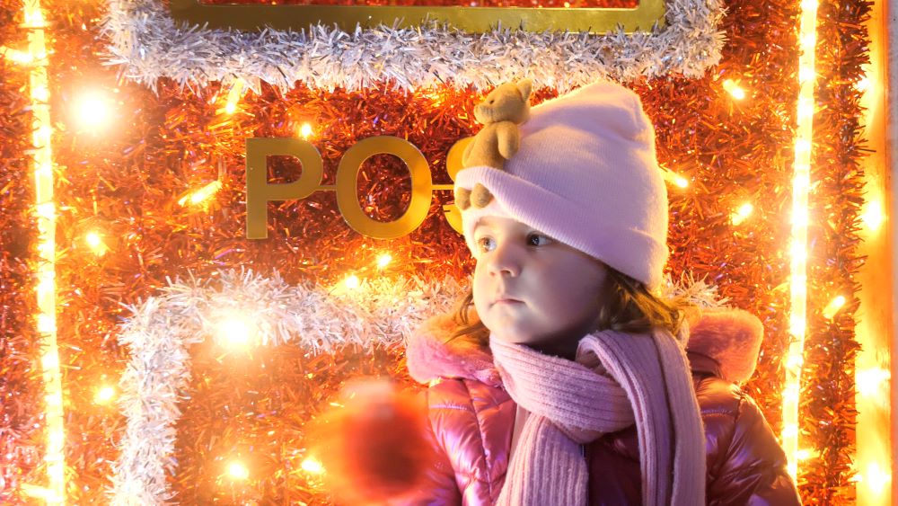 P1030892.00_03_33_16.Still004