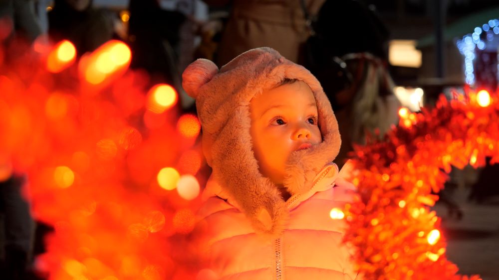 P1030892.00_06_13_06.Still007